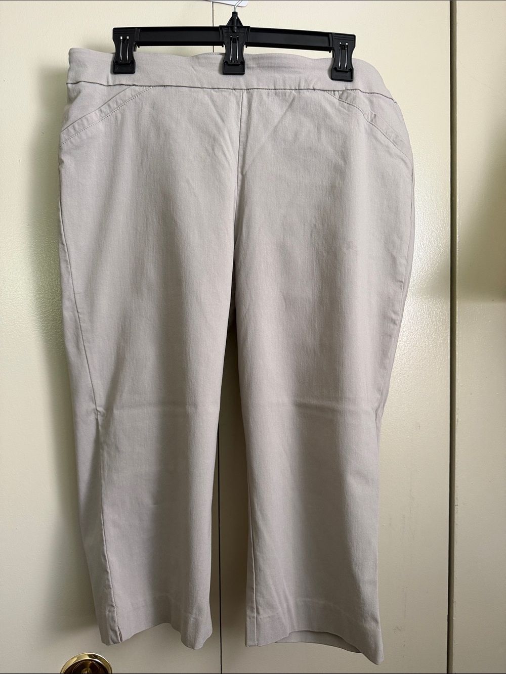 Briggs- Classic Straight-Leg Light Beige capris - 14P